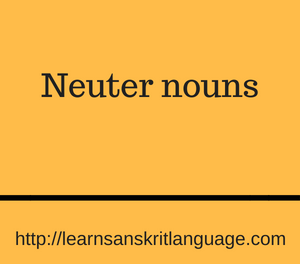 Neuter nouns