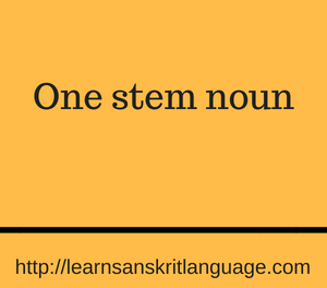 One stem noun