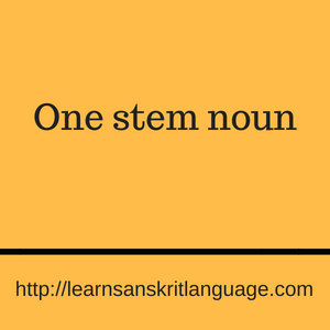 One stem noun
