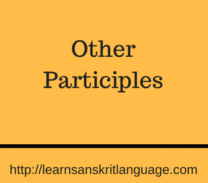 Other Participles