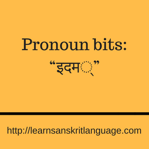 Pronoun bits “इदम्”