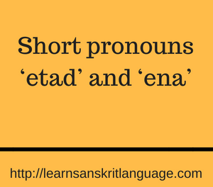 Short pronouns ‘etad’ and ‘ena’