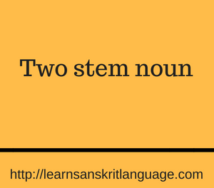 Two stem noun