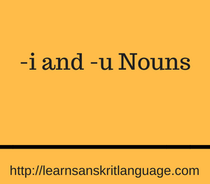 -i and -u Nouns
