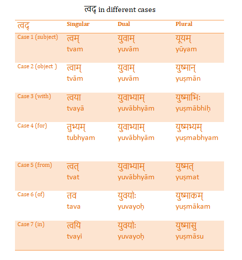 त्वद् in different cases